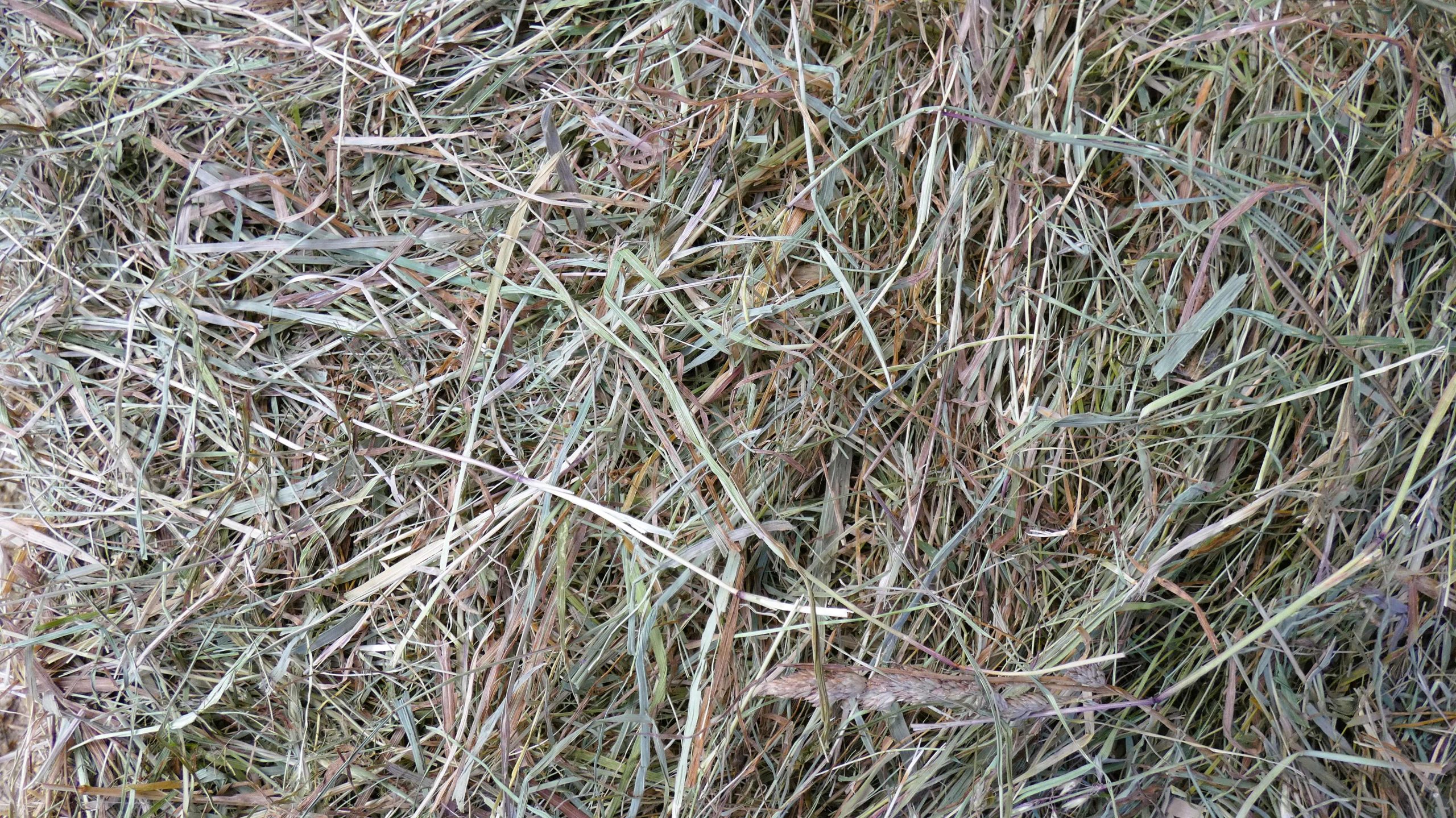 Meadow Hay 1.5kg