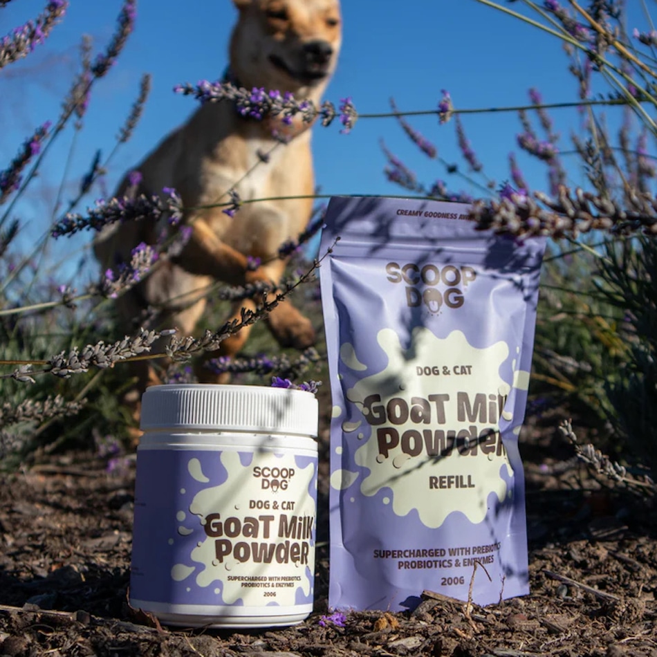 Scoop Dog Goat Milk Powder 200gm - Image 3