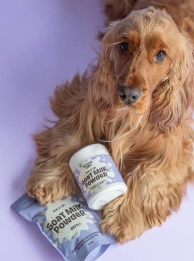 Scoop Dog Goat Milk Powder 200gm - Image 4