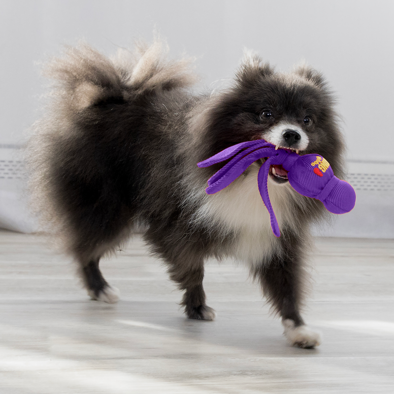 Kong Wubba - Image 4