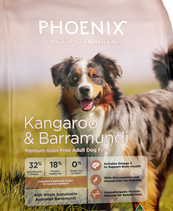 Phoenix Kangaroo & Barramundi