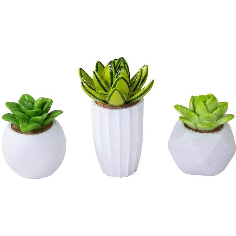 Succulent Resin Kit 3 Piece - Image 2